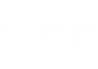 V S P